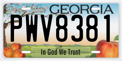 GA license plate PWV8381