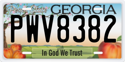 GA license plate PWV8382