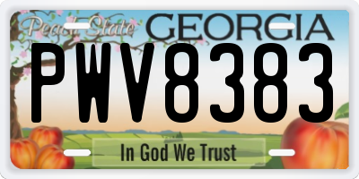 GA license plate PWV8383