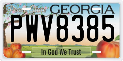 GA license plate PWV8385