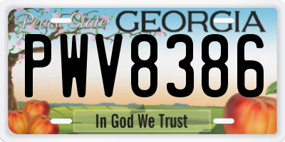 GA license plate PWV8386