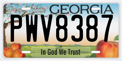 GA license plate PWV8387
