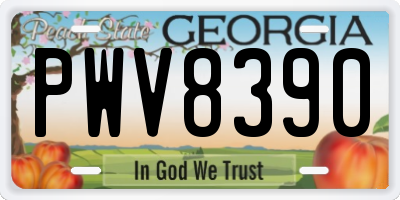 GA license plate PWV8390