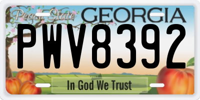 GA license plate PWV8392