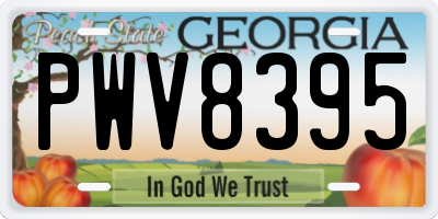 GA license plate PWV8395