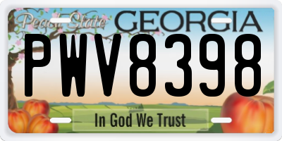 GA license plate PWV8398