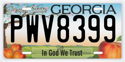 GA license plate PWV8399