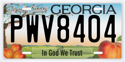 GA license plate PWV8404