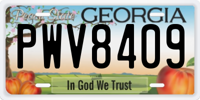 GA license plate PWV8409