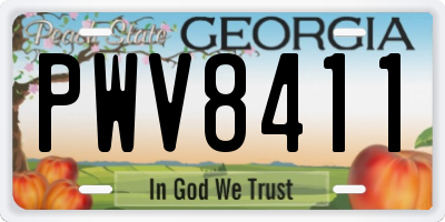 GA license plate PWV8411