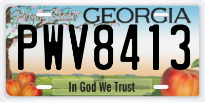 GA license plate PWV8413