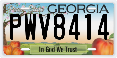 GA license plate PWV8414
