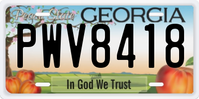 GA license plate PWV8418