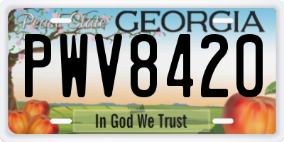 GA license plate PWV8420
