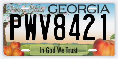 GA license plate PWV8421