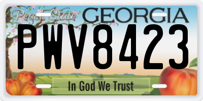 GA license plate PWV8423