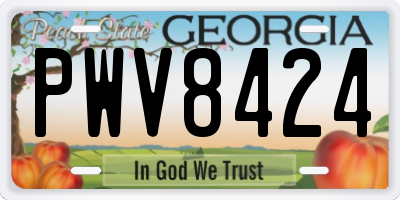 GA license plate PWV8424