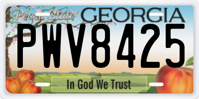 GA license plate PWV8425