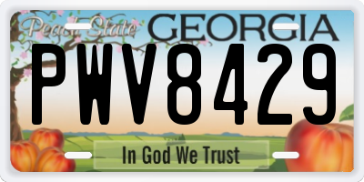GA license plate PWV8429