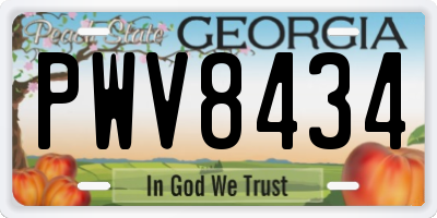 GA license plate PWV8434