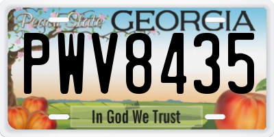 GA license plate PWV8435