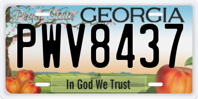 GA license plate PWV8437