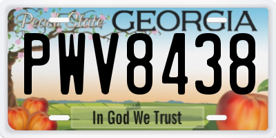 GA license plate PWV8438