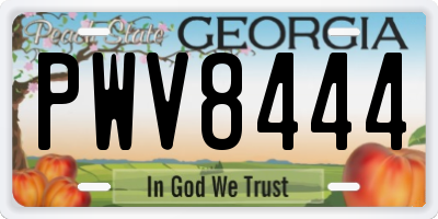 GA license plate PWV8444