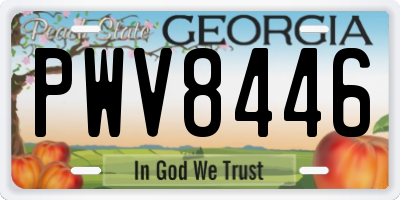 GA license plate PWV8446