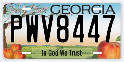 GA license plate PWV8447