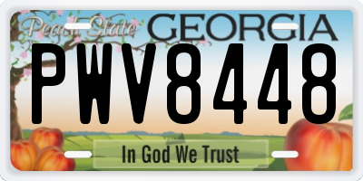 GA license plate PWV8448