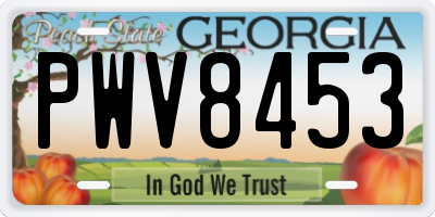 GA license plate PWV8453