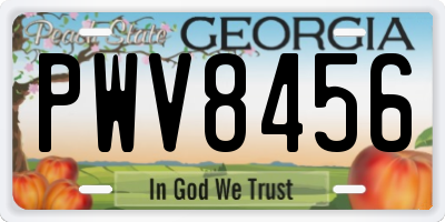 GA license plate PWV8456