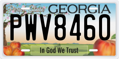 GA license plate PWV8460