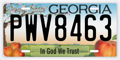 GA license plate PWV8463