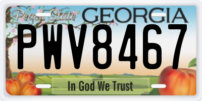 GA license plate PWV8467