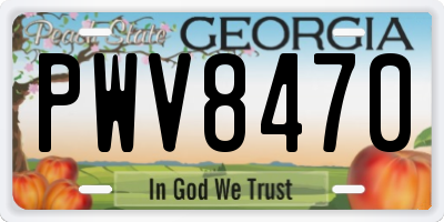 GA license plate PWV8470