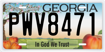 GA license plate PWV8471