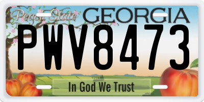 GA license plate PWV8473