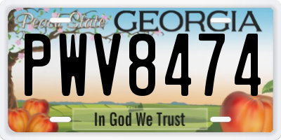 GA license plate PWV8474