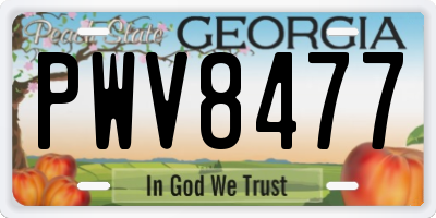 GA license plate PWV8477