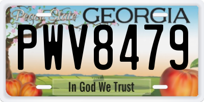 GA license plate PWV8479