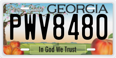 GA license plate PWV8480