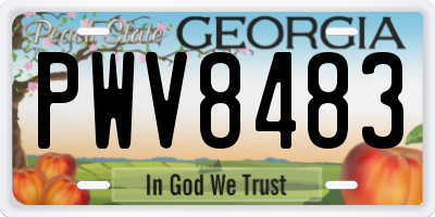 GA license plate PWV8483