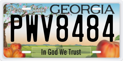 GA license plate PWV8484