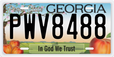 GA license plate PWV8488