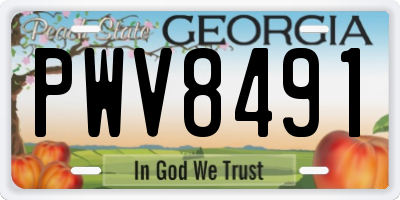 GA license plate PWV8491