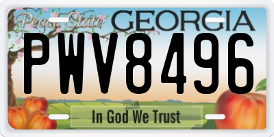 GA license plate PWV8496