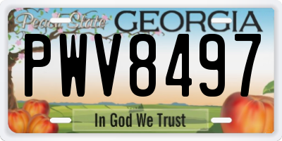 GA license plate PWV8497