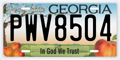 GA license plate PWV8504